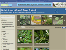 Tablet Screenshot of aerulean.com